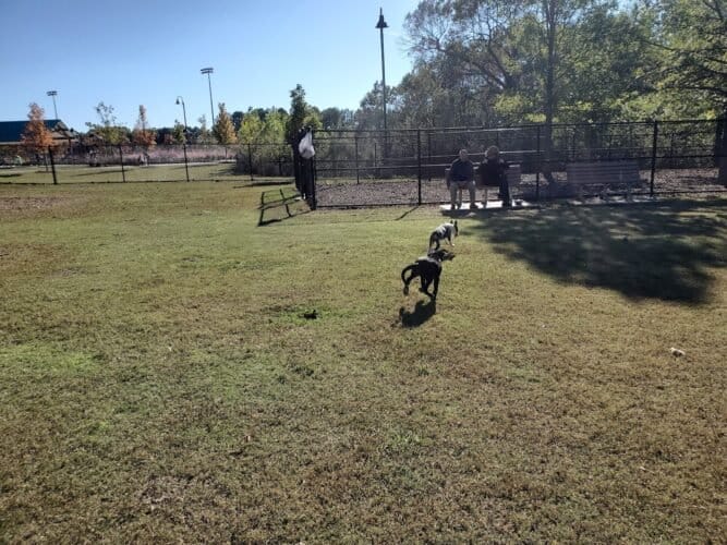 AC9h4nqLnwwgGjV28ze2fgIXCj8HLFpOeS vW2OuDNdzvZrIr1KjZJ8nNS7 a5IJAOBkcQAMIYZ782EVjBWzY B6 DtALdz4uD6lYloxnUBTQ7l Yuwh VaLPyQYnLzHpW7ua61Bvw VSQw1600 h1000 k no