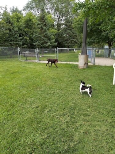 AC9h4nqMDaC8Kf12T9s1qPwWZQ jQjaqO2nhxw78T28tKZWuLW3smkKP4Ql8RUw ykSdV HdcXV6z96VczvsB7y4H3wmiqxeQOS7c 9B2u7zQFWKTNJyOpubi5wn9WcRs1U8Hkwtqb2Rw1600 h1000 k no