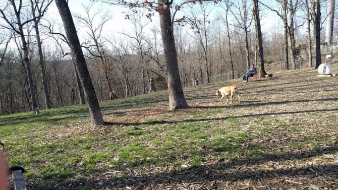 AC9h4nqMJoS16ikv LZuKijsp4myOzg9ggwsIidMk1lkCjhOowTxr3iqmGY4Akx2lHwmdftbP8k6fbXwbQp5JQMmTwPmnQkL34vUxsitY vjEPpz4Ew1b AFnTfqtcPHign9K1 PArrKw1600 h1000 k no