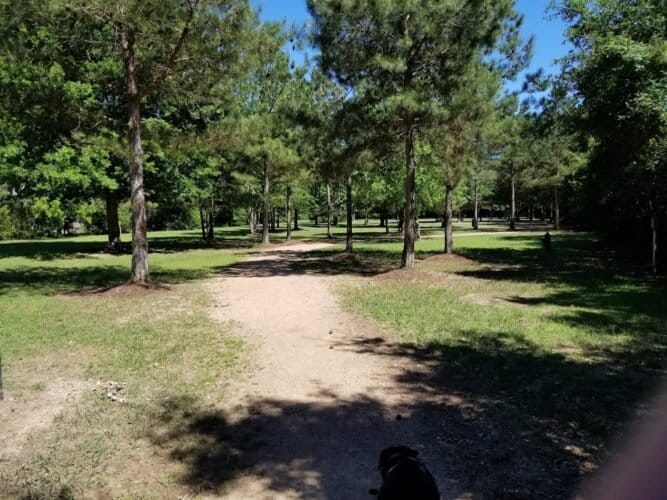 AC9h4nqMMxXjgvO2o6M6 jsXaqxu6kwtI1A9SYNtDx5wkCIU V XXeV8rtlBcEC8xgEUicLfHmk4Y0GWYkuSrdYeeIEulu2krZqvwmF58bXmMldBZO1Iq3x7gz774rwBz3 2vqs6F6gw1600 h1000 k no