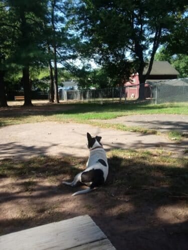 AC9h4nqMe 7sDCADTqzU9Ngb6yPCQcrV6g3cyged2rh5OKHkWue7W3jfTJLhFZ3UCoASUuTTcUPQkwxGTYYU7aAkZd38S8sLeU3Zz7jIc 8w1600 h1000 k no