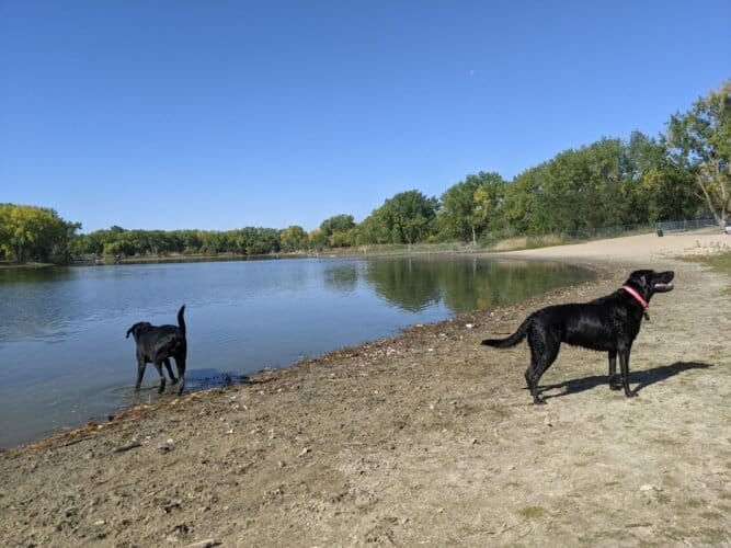 AC9h4nqMgTEaBt735ZhkWOrn28KwZFvFUuhN7UJyDLmmNoH5WN e6WD3C3i8LR99YEfk5QreFz Tda7PzHd4alzEUQabYEUSN2PfATQ2a06VyJJ IYh9Cj0jB1nAGu1v0m M4BerAUTJBAw1600 h1000 k no