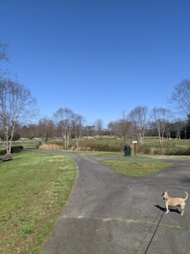 AC9h4nqMjih0Xw dtBOWJiAoqhszlZp FRnzzLjIaQcSBr3M1sgShMsDkZf8vVc4YYIBb7tFc3FWQxs3Qd 6bdmMpCxe e 8F9bvtLaKv5Riy1evvRYaUmU0gSX5zGhmed4cKFCCbqi9eQw1600 h1000 k no