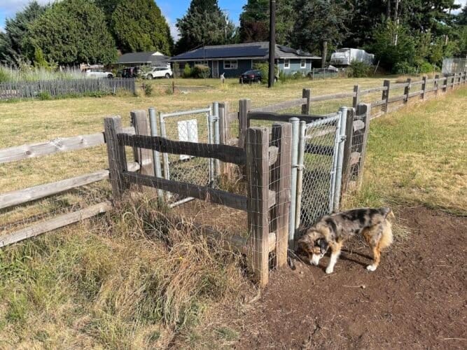 AC9h4nqMqrMiVOmamRsw2bEX67F5j53MLcqb90Osu2gXtiTI2btZRifULo8ohCuN7nEX8x4cQcQGb3Ryko6YjIhpzQpprgKnzOrTiYq9JBt44KR5A7IYqyS5PcwgdfujgSJTXE9TGdYCw1600 h1000 k no