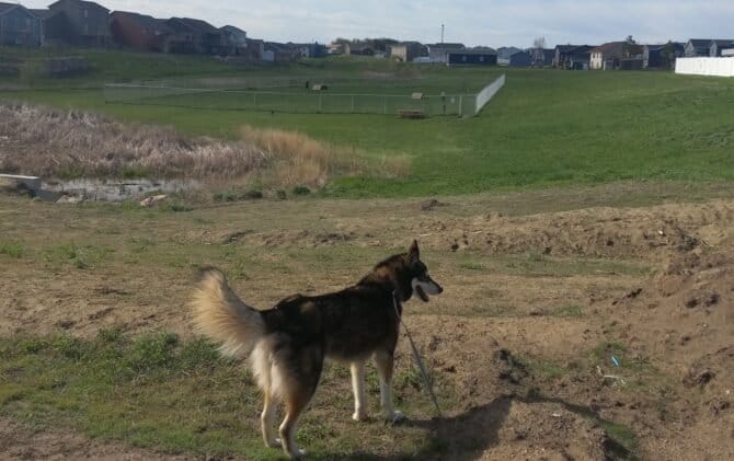 AC9h4nqNEU86714c95aQ oSA7PcR3aPkctXDW40AW0EkzjCkuwdGaV6rJnUDGPJrJMaFdLUX9TD4nWG uHAtjLAwOG0Ef7I eiwMk6d1hVzA2QXDqO6yc5Et87P6LsV4mQ9fEL9FsSrrw1600 h1000 k no