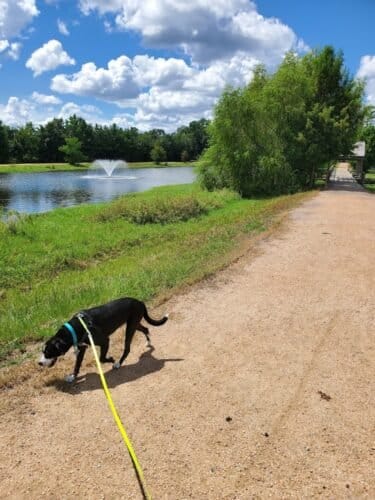 AC9h4nqNXPJAllTx shd3LpqBk2c68DpAhg7teEp3UbcgNGLRyb9 2M8j HPnO9Lg81frJuEyJNd62wPVSKHItcouRhHdE0KsARmqxY JD1C3ID0q2N14E77KpQJclVb tP6nGHSG5Ztw1600 h1000 k no