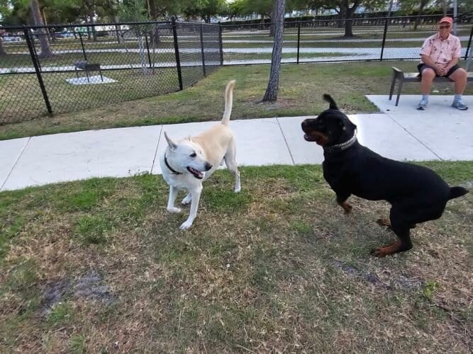 AC9h4nqNcDLJsUcLkkgX2S3g79EFNJqrAOXqXzcYY 0K Z14cDsSwix2vNBYyd5GnHOgQ3blbnHYZ3n4WeFKDYGS2OhEJ2uWgNgYJDvi nhPoyn5ejdLCODOSufzXgmIuKnYu73NsaAsbww1600 h1000 k no