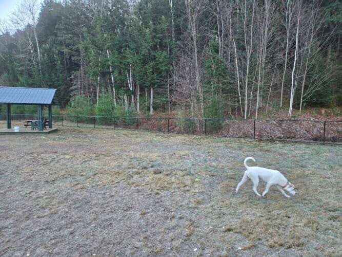 AC9h4nqOIZiohhiUKGq9nrPt4kUL2rfGiIU8A0HLpmFBUgtdCPfexwteOXfFq7fC40edU1lcflqgnAdNOHO j0LJ8jb3H4DsV0KfVafDYtVFXCUWFOXvD0ReriP 8HAzTrQtxPzl6b ePAw1600 h1000 k no