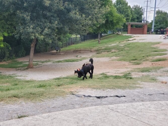 AC9h4nqOUJwtJ7Q1jwJ8xICBE8MkOSoJIxogWA jNS7jT52uLlQ SfzYM qYjVlmsPsQxg bOf7hhZZzzjZeg0Rx5SHbSG BQ0 zaP9FdZPZsoIUDo02TZQ6UQpw eDd0qrfJcJXVmpJw1600 h1000 k no