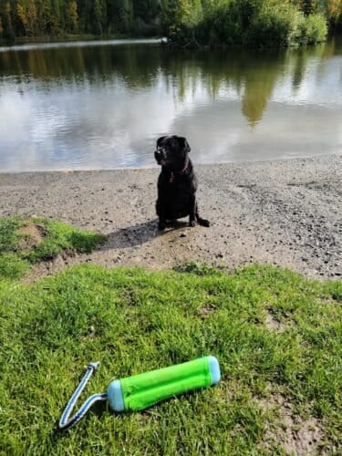 AC9h4nqOd7svnHghDQ NOHc0ZD9A5 ShkFIB4gMIcBBgCevp9AH0CN5iKANOclfZSOxIgqX OPQW8YezKyvbQfJUc4vQOS4sZf4saFeBo 294aUwuAI45CoxSeU7YBfjxJTvnntLFUJqtgw1600 h1000 k no