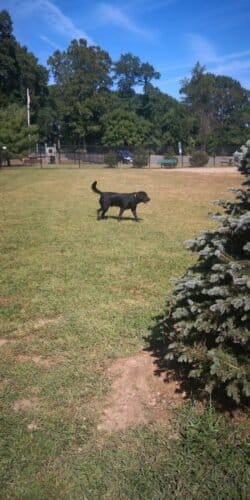 AC9h4nqOgSnSBsao28amiJNDSAYky6Hxqupx0g11KdUi9pgQNJvAHmPkiDOOUDe 6wTnS1KDSu1yr ah8InTyFDUaYiaABAP LdH3qKvDPYrouWD9aj6muNGpVfePgzV5WI40wx6lIKcpgw1600 h1000 k no