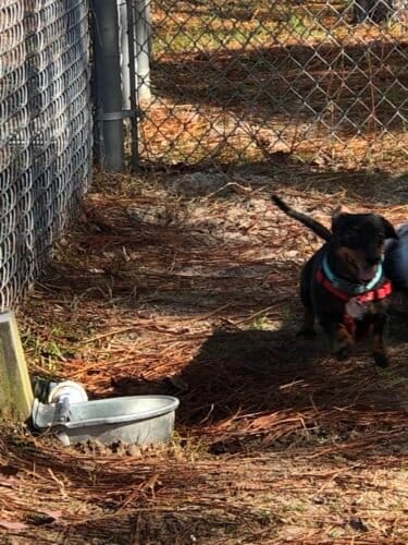 AC9h4nqOiPGaWX9aZhvDRdwBydapt5gdOe3Zd5En24Hvmp9zkklCIOGUAz8gSPjBMgW3I0o333aYzy gxJQIb7jomuOwkD4FtJg43nSxbzzB1Dd SYZpuPW76 EJkEvvfFlYKGdcS1Z1Nww1600 h1000 k no