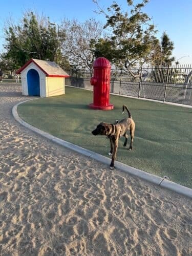 AC9h4nqP3Q0gGJxce5 ypZLzVDdOl7nWI7yWEZetbKo39qO 1OwMWEb1g9an2UGrYIO 4lbWmbMGjv29ZHyYEXRSc4xWWtCCwLRNnkrKPJKCdYOV8VI6z 1Ho2gNTs3OKb xgOcFIkC5w1600 h1000 k no