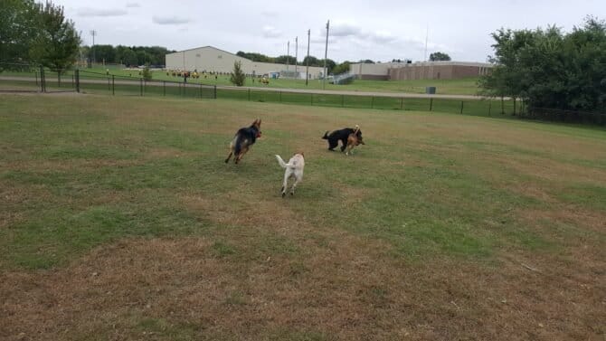 AC9h4nqP8 nmz6fe5rRwHw43EqqvNvyxJF2q4zloM G6m4GeSZTUZD95PSe66ThGWpiVHxFLaduSvBP704T3jtEZWolyTTqpz5t9NvklwtMF84I4EW5br9VyjWp5lhAOhhoNxQnIOxudw1600 h1000 k no