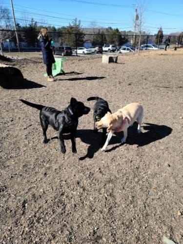 AC9h4nqPaIEOwR VzPb5yhc9zSo8LDmhqYH4fD9 EbDXZroSGhzYhnwB9OvoIzOsyTwqcLTbCJ1 pce6hkiWj4ftRXACvD1uz0pA55lJDgw1600 h1000 k no