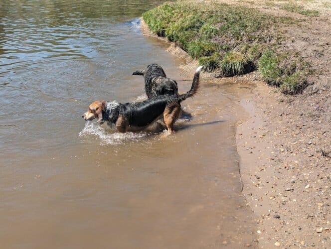 AC9h4nqPc OZXaPrUOklQl6Zw0iI7RkDwlASrwXltBGGn6sQfbtjD3 emzXkA DvE0M8KS7cxGhyVKW3w3hzA6RRENptQXQvWnzcz3SF2C6F SEkvrw fBe2Qsy FIzvTfZkHWj7kS0w1600 h1000 k no