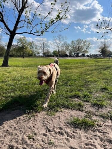 AC9h4nqPoVmMmrXKj3mGJnRlA9leqWVQQMc6EYLrufv7o JkC96cQT09nU0SFkreb6EH1byxFhyJ Wmld8JH6HdVZWCpbOKezhKwTp23dnRHS9RKxWbukjCiYo1c6qU4JiIlxyKtGxCEw1600 h1000 k no