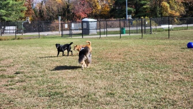 AC9h4nqPpqYH1rpDUd3Vf9AlztsydqUH5qQUrIPsISqD ToS5S3ZgV14AZgNR7RiNuyUu 7b1dSvhjMqKRkrL4 cQaiGzvDwxvecVS kZbqPrEglpfRCKIxeiDyeZxKvEKdQDv MpK7cw1600 h1000 k no