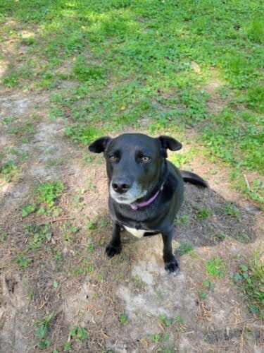 AC9h4nqPvPFrKZCyj9W3vwWRKh1iePWnxEpCE9nNu dWIN5sxk1sH9t9yvzq Sfa4QTG1Bowpzj6HdWoksRPP3kKcUMRwrBiTFR1ovre4ATjXXairw7IH U4pV3LJwgLCx9KYRqeuAB6bww1600 h1000 k no