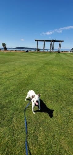 AC9h4nqQCFLWoVPm lNWGiHnuEaIyQTO JEL3HtdhGtKkNfi4JJoQxq4LrwvIkDeFBrHMOqB6vIx5mtreZBGWzYrAnJiW1zgSOR1Ga9xtK7Qe fUirlJhAb1arH93zOZUvFWZdftPHgww1600 h1000 k no