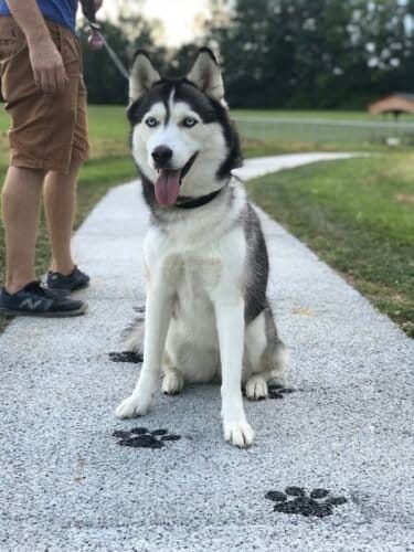 AC9h4nqQCo3lIPI1OjqoQQJB1TiYQP9eZq4eLTr3QbObDmBQhfloloByeTGj5SwZQweJLyOAAQdpPO7Os znfd9EKOwr3Q ZNDZdd oss 1VvyemMnfhqvzcgDJm5JUUUnCu5dxSWRZ9w1600 h1000 k no