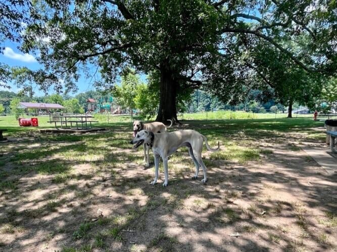 AC9h4nqQIapw5BipQmLl gA390G5mSQLXK7yRUyBo09J8 SuYqrzPQWj MnaQ FbM8eSr79nsaXhCDDytdp1LwzfCUVyPgCb34CP6Jj Wbbn8h5bAvhBEZtMVZX3DPBeQqUAnjDmM G6w1600 h1000 k no