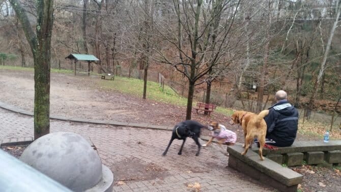 AC9h4nqQLcNzlqkCi23yW5iuM1JPIzQTCZ4LtbY70X55NLsOK2heY8SltgRG3RJK8r7YLbVgcKHx1gv4mObFeMBIt06R8sSlyMhDD3yPSOklr BMmPCLoDluCKhx7aDKx1axS8MkBCtLw1600 h1000 k no