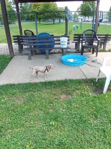 AC9h4nqQomM0P6wKoM5h4akZPPiglee9aHxQIKXZTvaCAyNrgXD8auLO0C048uvNCr 4HQ0294tCMv81q TJnFFkzYnp8ozG6rTxiGVDgsTBu0m iF SoMtWaQBtfTFsAxUZB4w4b4pxw1600 h1000 k no