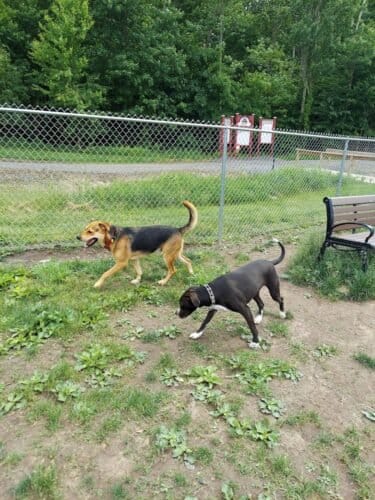 AC9h4nqQrgphxovg8nbyLPKIhxihI0t6NJvjLWIUUclG5VfLiZymm9OdtCzPa1P5jRXxoOyCvuk1hCc298nI9nDxWat9JF0JrcY7A570RG5lnBUnkjnj5EPUQZxlaqmEPbi3 HmwcUl9w1600 h1000 k no