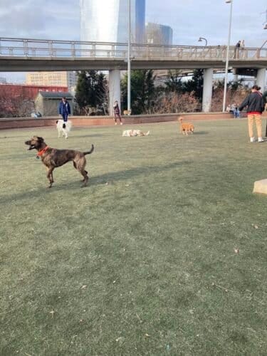 AC9h4nqQzwOG18QpUvxwuJZC3yspwm6NWgVsXXa7Q5ubzD ehKrozeHOttk1E  m9HVaM5V8UoU1gWXf53VD6UOXcnocWYr6KvTEMBreYXf606aXI6qfmGl7 mZEarrbgp6w In6HRPDPAw1600 h1000 k no