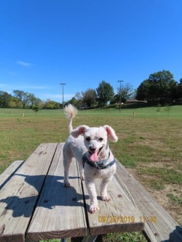 AC9h4nqR2A8rFeflX9Gy9zmEjlNeirsdO3DBEwyie0318kDGXPCU8evW7grZsUZ42ShItVFrKdXMuMtZtOUGmrEWkfM 9BqAb4N7w9Bkk1Sxj06 ILRdwdTSTPK8OT8EKaoAn2zK1QUlw1600 h1000 k no