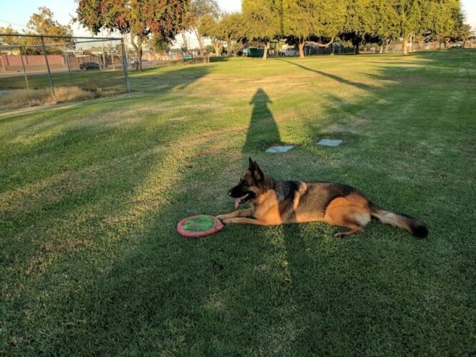 AC9h4nqR30NNopCyvjws4jQXPbyKBEsdBpO6a TCaw94dpzNVreRz7BBnJjNeH6AowsEmfFn58ixALQ2Xxy3pRzBKQCvJ2rY83FuE57xByue59TwkDD1tKLnat fBohEte97hUTq12ZQw1600 h1000 k no