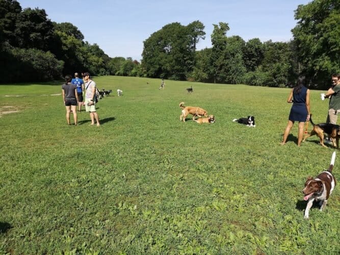 AC9h4nqR4MKElNJBusKiEkf9a9 s5Cvtgwk2Ak9nzlSTiE7wqWmLLj5fLsI4IJFl9ZOjqTNDQmqW3DYkedRapZy7PLoI eLH3sDd3Bb08Aw1600 h1000 k no