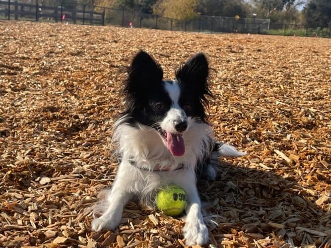 AC9h4nqR4aV6esz2SbRILcqdh85v9HK2B7C7JHBQoJgqCjRtX4lXdRy0oxkl1oKD5UaLpY45pn 8zPSspKdEsstjJw1bmMngw8zOtuFJrGPT8Fdd2X ulWZ0NYJCKTArHLoa QJ UGRHw1600 h1000 k no