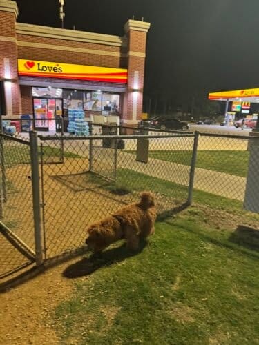 AC9h4nqR8qFjJJXi3emqdMA7SEtguQnMsEVNpCctLlMthvNi89VWvKs9fD3m8dHlESE6n sau7LcqW59xuoLcHImsdzCFs4YCWuFb4NCPjZXvytWYvzB9PhSAwxGRbQEDHTMf5etRNRkw1600 h1000 k no