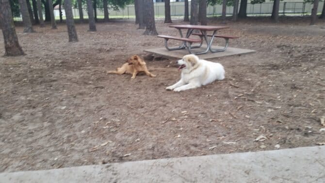 AC9h4nqRAOr HkS4TK2cZLH1F6SYMT4hohth eJchUcmUO1x1mMPvpydfAgE6JjfudnijQbwhlqOF5O8WhMd0eONf1mPZfmWl5lWoMIn3RAw1600 h1000 k no