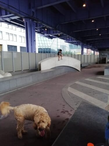 AC9h4nqREr7aOBaMZYt7GUm0CDNg1MwuOtUa8dHZ9Zz8g33frPYV2cBhX4u8bfLjaqDzlSGCfPnIBZy8CYF j0EipzgWORPNqqd2HUHNtc HAJlSKJMLcC52HxSUrCW0mw5niYYKQpYcFgw1600 h1000 k no