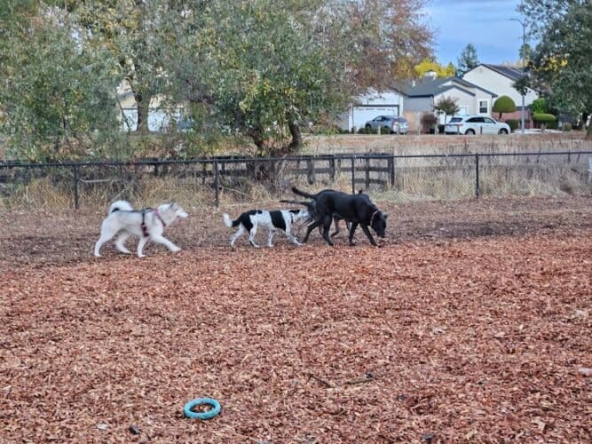 AC9h4nqRL3vgS2Ie455gURF9tITPhG6Dp7MS bg2yevChIWbxHoKuohErPDpCNDnafZU5fqZPZ BflSmfyASke2fatBzc B2e8yf7WapLTUWbtDDsnEvC UXh2MjCsf1EAY2N0y0ZHuw1600 h1000 k no