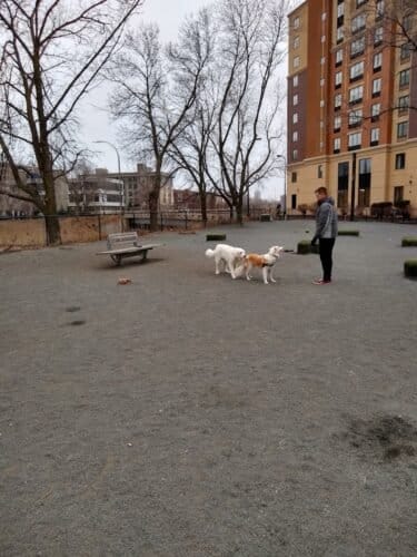 AC9h4nqRbJRkDKZd8BKFRyESbYEDQCWrkhdkEhfsWUgx pE0hLESJii21qt41lxdQlLXb EW8a 0yMPVvkg4IuYMQFUTZEFxLtszqXlgF7uOETNtOqIJcZspWk937NiZbruFgLR 49rNSAw1600 h1000 k no