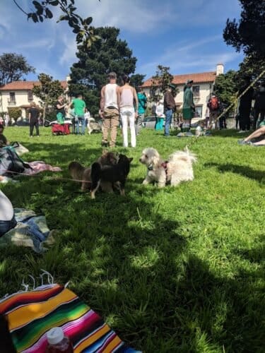 AC9h4nqRpySBXLlpgcqu7Tue4an4GFBUr vnW9klLsdTHYPl5CJzne8HzM5knRSJCQQ0fUa4IT6aDhQugyqA izT3UuQrb9 S HkaGBOPV R2lPUXAMVsRMi9XhkpvyJ2Isg6P00ZXMw1600 h1000 k no