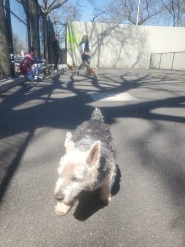 AC9h4nqRt5FyycVklXcy9o6MUobMJ9xGJSnX6wG0TmggC9bkmEMJVnKEYb0DrUpcO9I53CN6R3IHAIqx9vCGjguJ73z6dKH1BPcKP5sTsHdnlZjj0Mm5CX032nR Ty33T1ZLmmzZD6KhlAw1600 h1000 k no