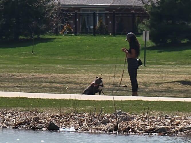 AC9h4nqRveIRMWY uL0A1skKzzG6eF0f MwBV8na3Zg5t4junQrXDPg f3fJMPxS4VblelYuRPCcs kbHDg2joVCA13fvonsO7g9G7naE0wSAIyg tNGePB8JQ44KnmRIq1pecPoa6 aw1600 h1000 k no