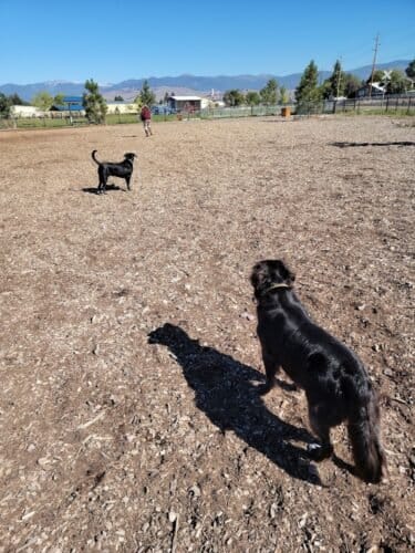 AC9h4nqRwJ6glDS0Wkvk9cBoiMpdDCIrBSTkXFIgEmAAyNO4fwxDYHiOrOFEiNz2We7fgNoGQR wu0qj0wCgOrRFzhIos 2o9jJmYPkeyyO4sjYpwXTG9BiYMHTkPHKvuU46vMKi5O3zw1600 h1000 k no