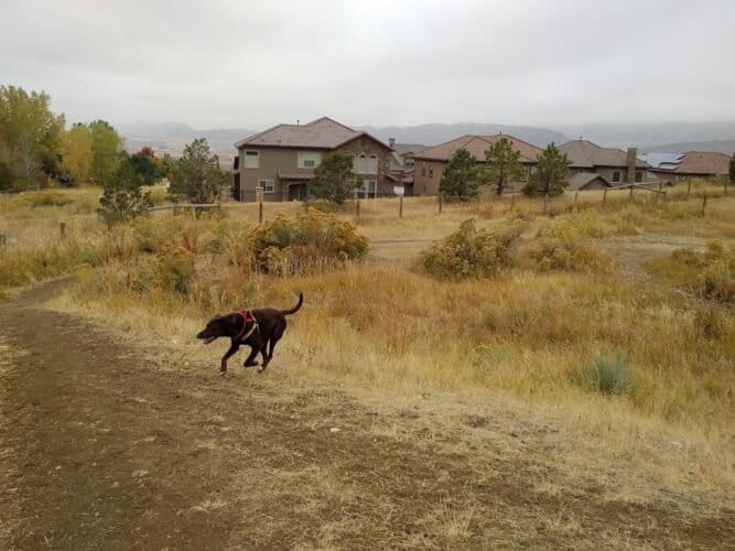 AC9h4nqRyEFRgjMrc3nBqlcSXBS3wa97rJAXOZtPjCT3eiDkQWx9x DyIvgIngAE8Ss0KeKAR TEVC1715rsPek uT3gotL6udcYK4WMmRtIEiGAbVN2KkfkyeZFOlQKPfu2 PfwIEskw1600 h1000 k no