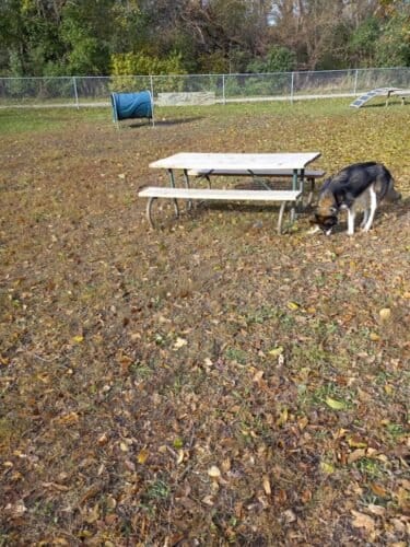 AC9h4nqRzK63Ua w8LWJFi3KXm2B r6Em1hrnFYazCGhmrpq a6FmxwpPqRgnOMGK rv6wXq5pCGFbp0W3KpQFu pMOjEXRCsOjVmMTFW4jRdZ33kATVS9syQLcnBq2zHZalZR4USAjOw1600 h1000 k no