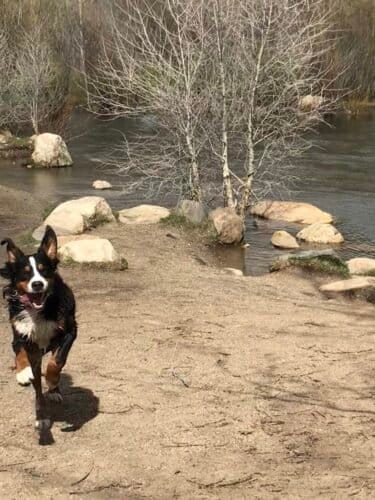 AC9h4nqS4Bl8yqkn5EcfxsAcnGOmR BEw2tw1GkcGiAt8YEhg658RfZ7CSim5V9mOL645Ui8lT8qyf4jGWOxxszcZjEtKh5RSd TbdJSgKIoNJIODXWaGCCiepyZ0L4JAfeZOlGcEZmww1600 h1000 k no