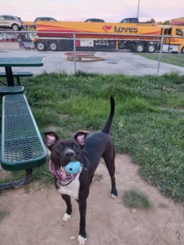 AC9h4nqSNAuKjPRmeH5ZESsgbJgVE012aC38xnSkEislk24bJaRzVBvUDQwtK33nl2Qy Zj816iiGwyKTWRuyg3pM43BOFo6gWbmce3fiww1600 h1000 k no