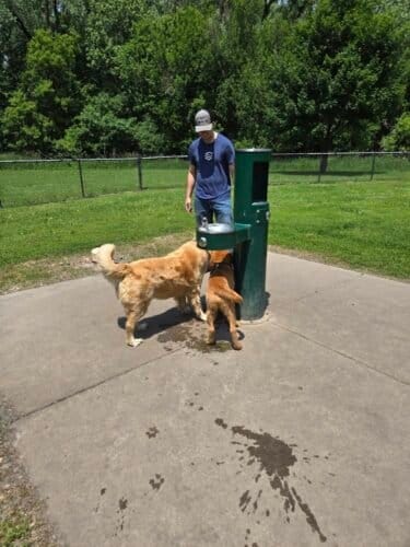 AC9h4nqSNgP6g lB2evtaUnu9YLJWtOYrUhyBYlcdecbLV5J mLzFTTm7E2 5Ty0P5hNKbt6PLaiX57U9x4 POId3pK0CPbmI6GRcoLU3u7H3qR46EkhUwsF76UvvW9qjvPw0Z04LwfMbnPemLVmw1600 h1000 k no