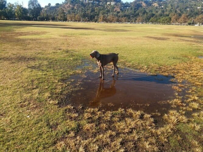 AC9h4nqSXAixYzYq3z tAiJMaF8jzSDDolp6ToD28L5r9Ii9CTYtgsats0yNhABOst ERujtakjdQyJMpdzX67aGbu9SWQvtmHXsEAsqwq08wv9miXGvcltJbx0entRcPRZ8FznZ8LTYw1600 h1000 k no