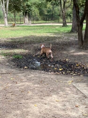 AC9h4nqSYf ZHenCRSX2nUUHq0TLIzvmOM5AJDiUQcP90J0xIY5AB9taWU1DV1WmijxWxL8qJJfZjCB77KVXoXliB6v6NzUvmluQPzrOrrFHI2dYpVi5U3GcXWnV0NCfP32AIF6RNJf1Oww1600 h1000 k no